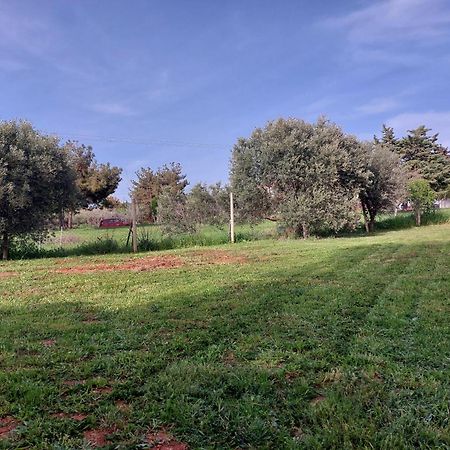 Black N' White Cozy Housegarden Alexandroupolis Buitenkant foto