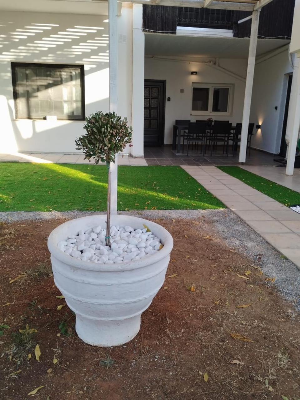 Black N' White Cozy Housegarden Alexandroupolis Buitenkant foto
